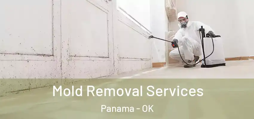 Mold Removal Services Panama - OK