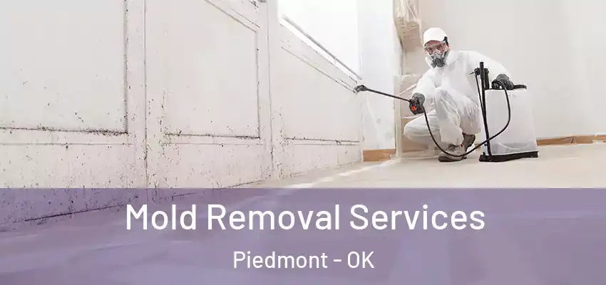 Mold Removal Services Piedmont - OK