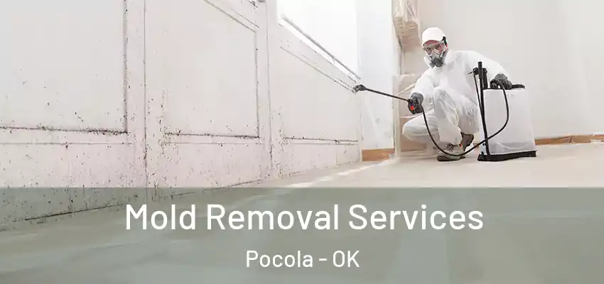  Mold Removal Services Pocola - OK