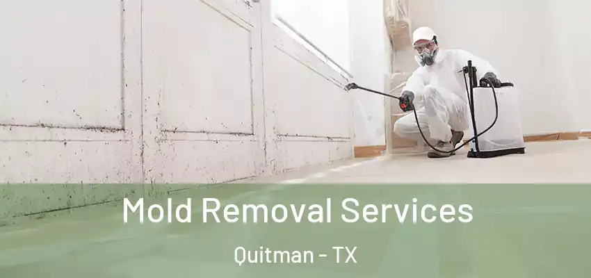  Mold Removal Services Quitman - TX