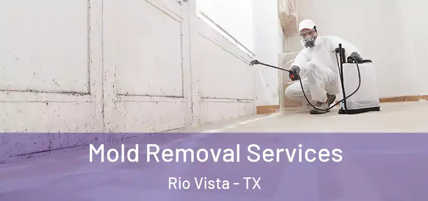  Mold Removal Services Rio Vista - TX