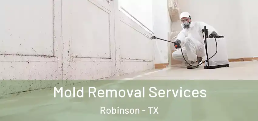 Mold Removal Services Robinson - TX