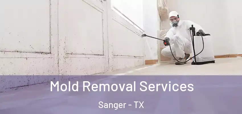 Mold Removal Services Sanger - TX