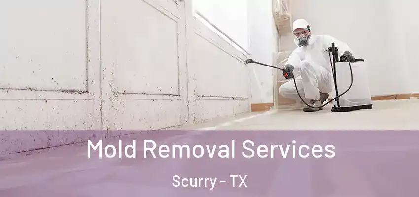  Mold Removal Services Scurry - TX