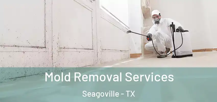  Mold Removal Services Seagoville - TX