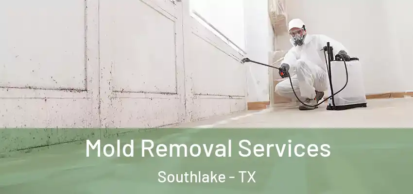Mold Removal Services Southlake - TX