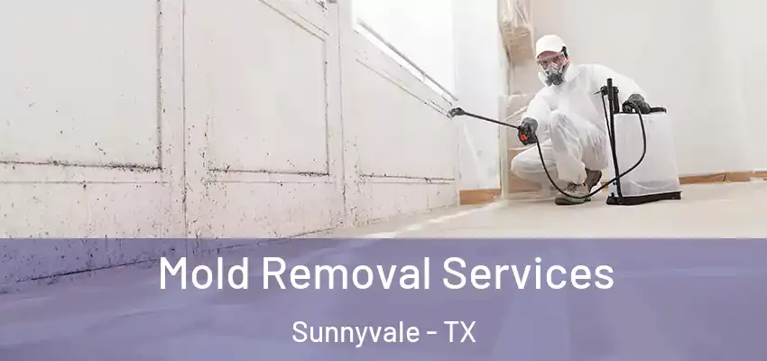  Mold Removal Services Sunnyvale - TX
