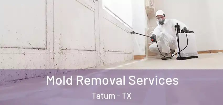  Mold Removal Services Tatum - TX
