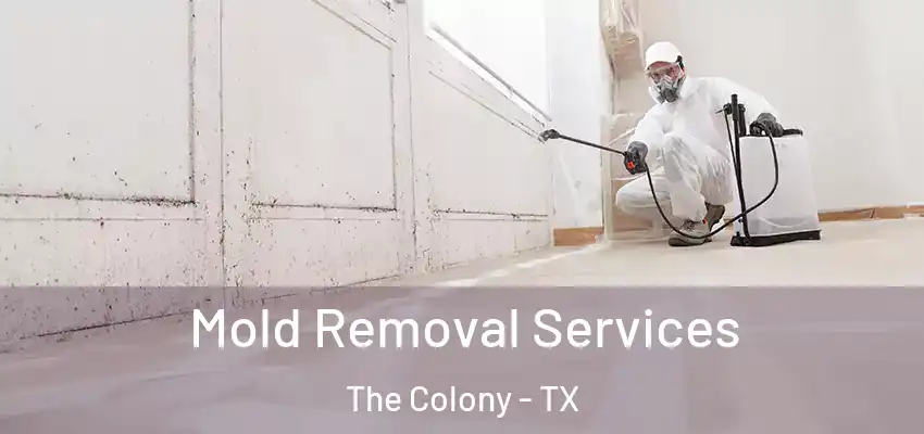 Mold Removal Services The Colony - TX