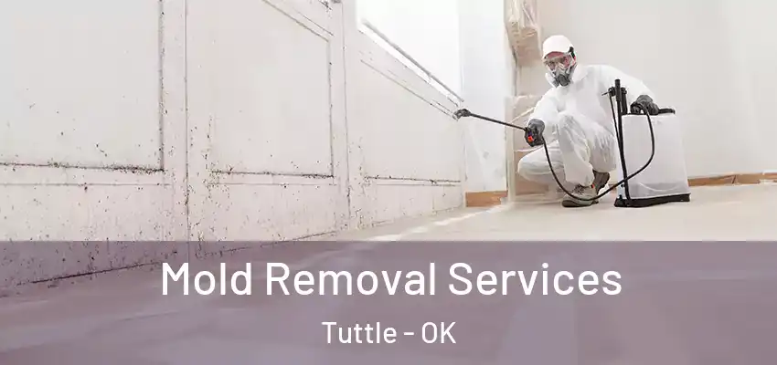  Mold Removal Services Tuttle - OK