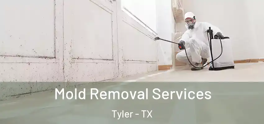 Mold Removal Services Tyler - TX