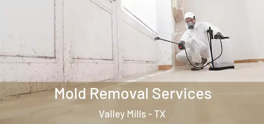  Mold Removal Services Valley Mills - TX