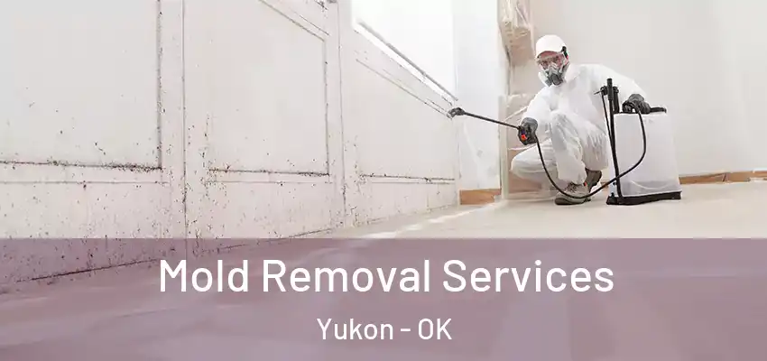 Mold Removal Services Yukon - OK