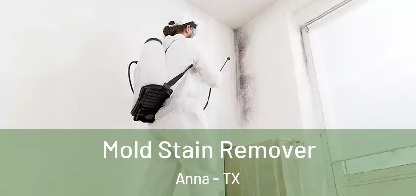 Mold Stain Remover Anna - TX