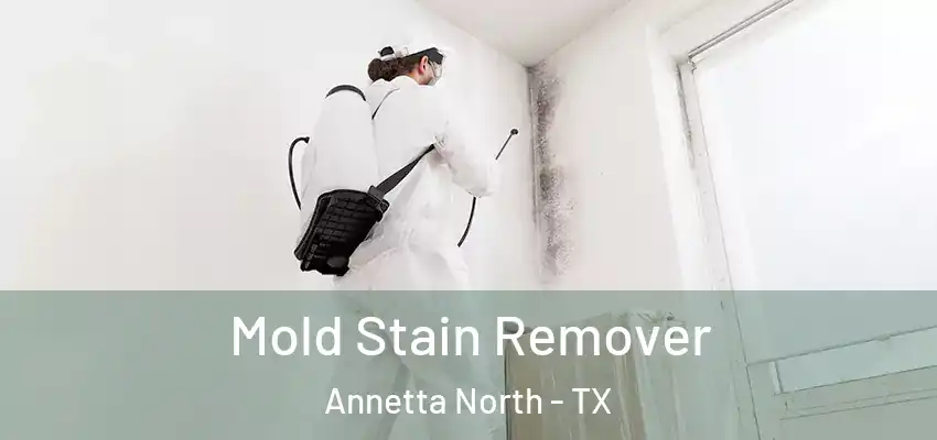 Mold Stain Remover Annetta North - TX
