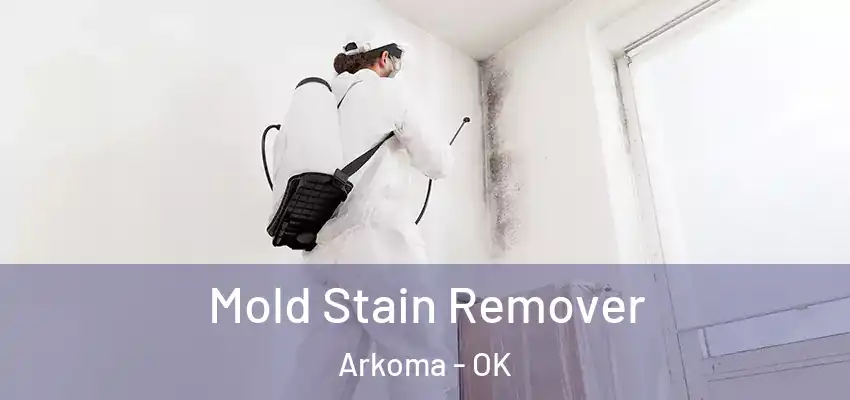 Mold Stain Remover Arkoma - OK