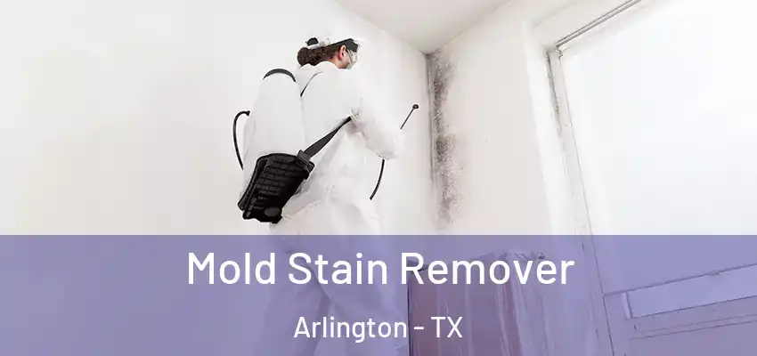  Mold Stain Remover Arlington - TX