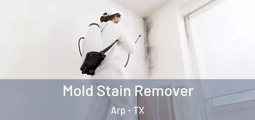 Mold Stain Remover Arp - TX