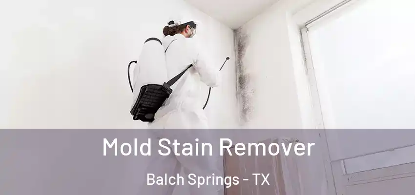 Mold Stain Remover Balch Springs - TX