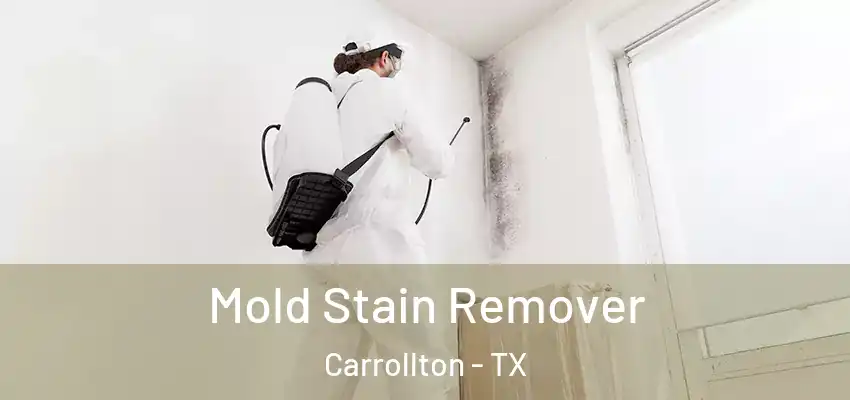  Mold Stain Remover Carrollton - TX
