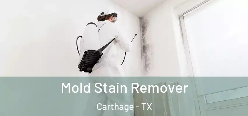  Mold Stain Remover Carthage - TX