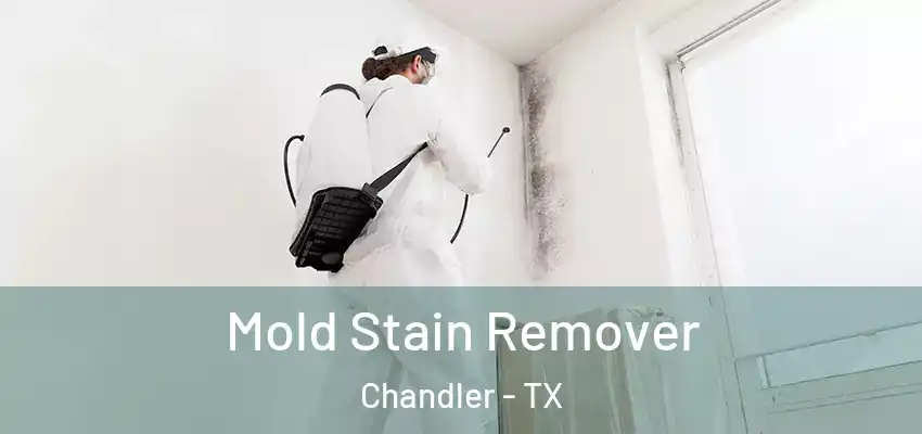 Mold Stain Remover Chandler - TX