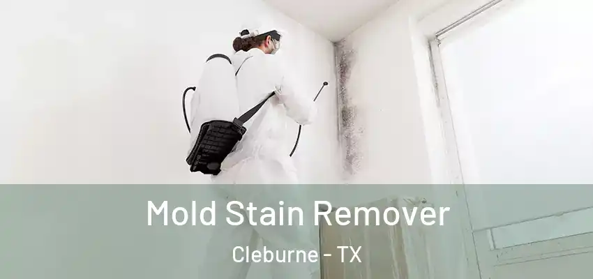  Mold Stain Remover Cleburne - TX