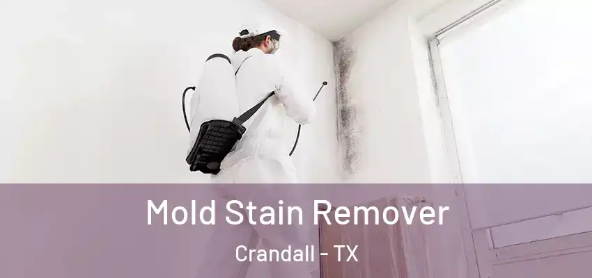  Mold Stain Remover Crandall - TX