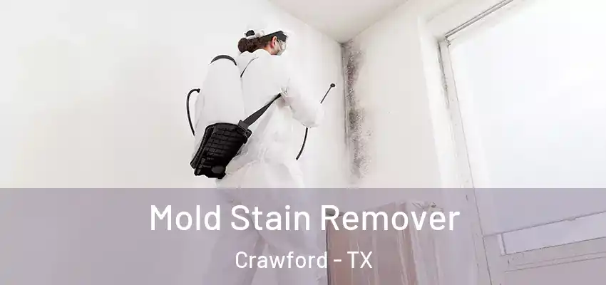 Mold Stain Remover Crawford - TX