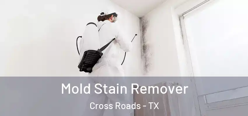 Mold Stain Remover Cross Roads - TX