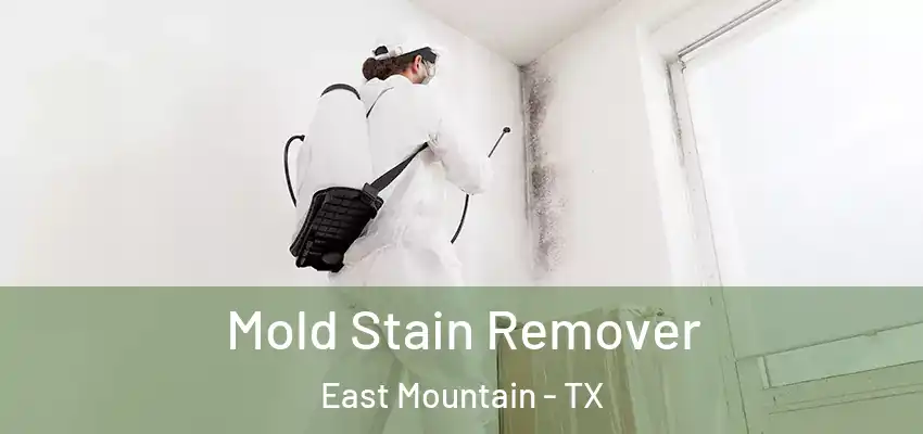 Mold Stain Remover East Mountain - TX