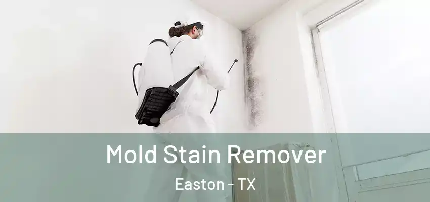Mold Stain Remover Easton - TX