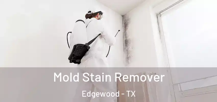 Mold Stain Remover Edgewood - TX