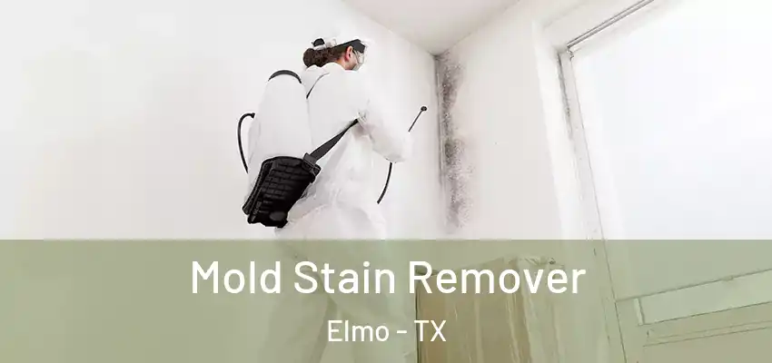  Mold Stain Remover Elmo - TX