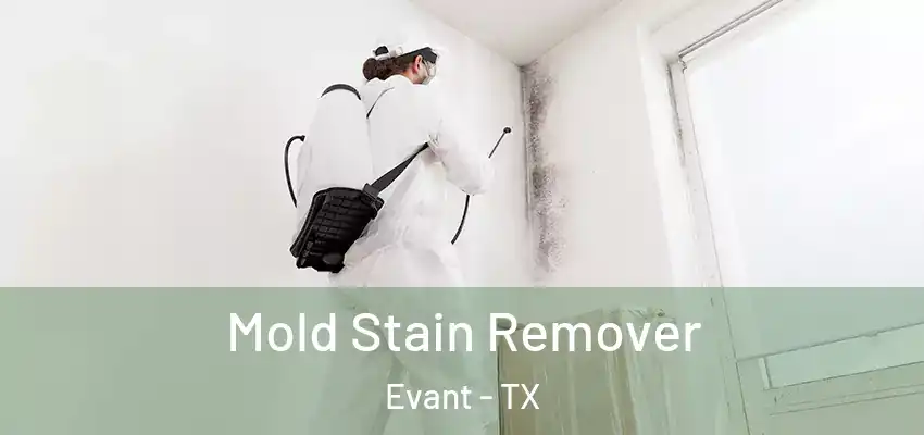  Mold Stain Remover Evant - TX