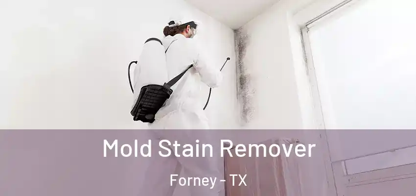  Mold Stain Remover Forney - TX