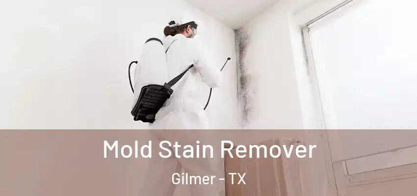  Mold Stain Remover Gilmer - TX
