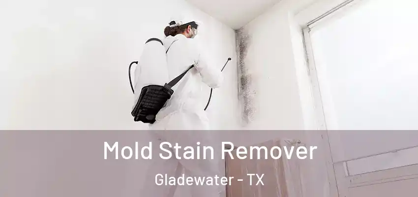  Mold Stain Remover Gladewater - TX