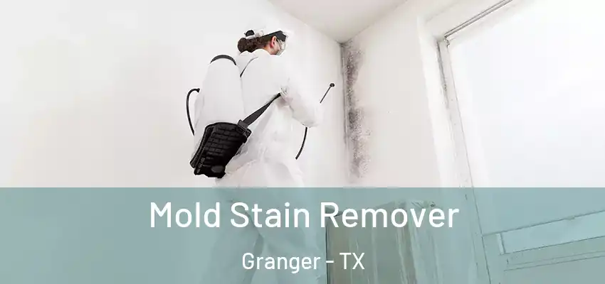  Mold Stain Remover Granger - TX