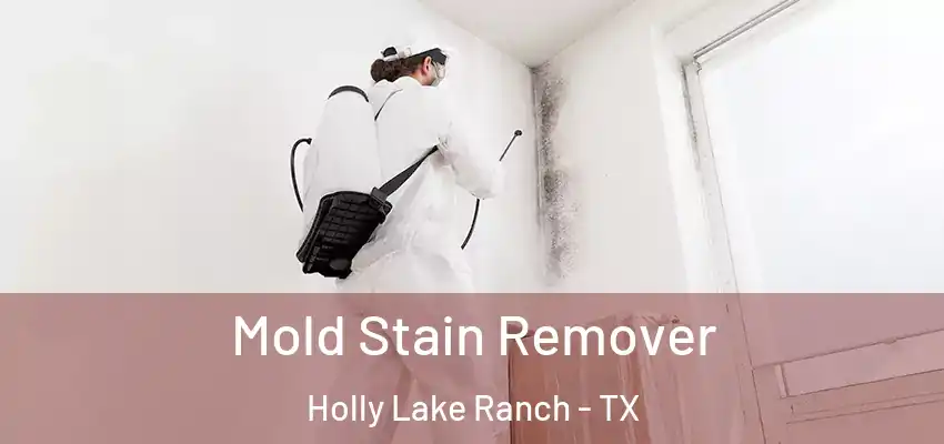  Mold Stain Remover Holly Lake Ranch - TX