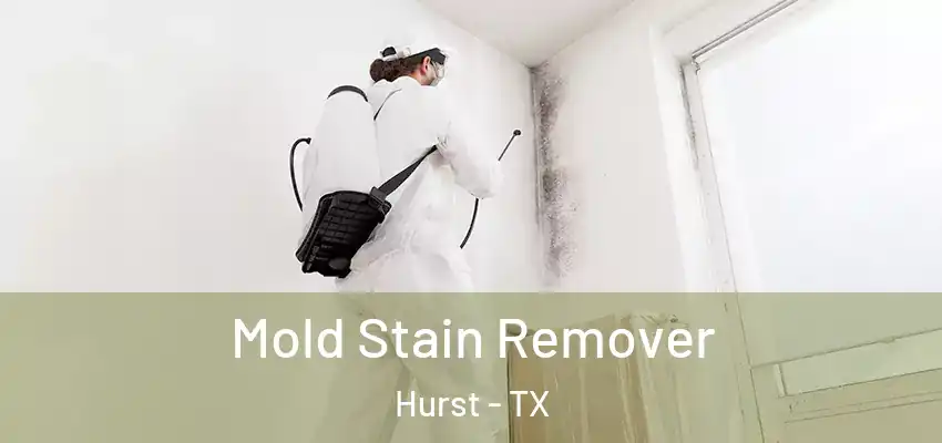  Mold Stain Remover Hurst - TX