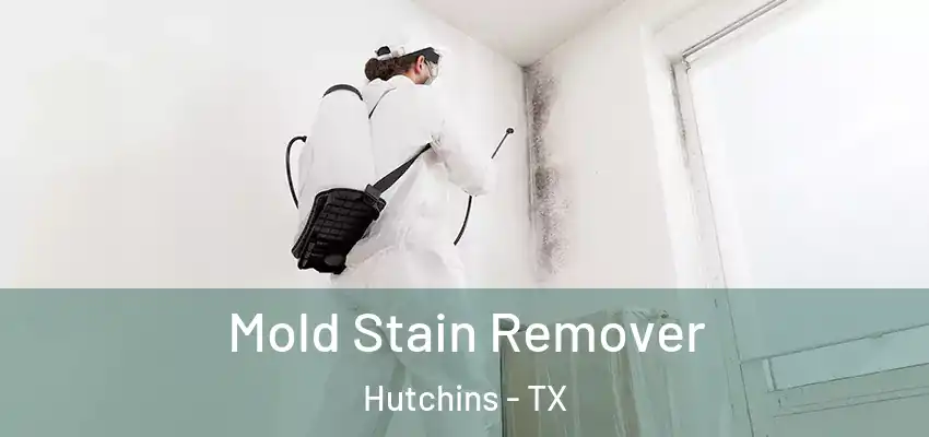 Mold Stain Remover Hutchins - TX
