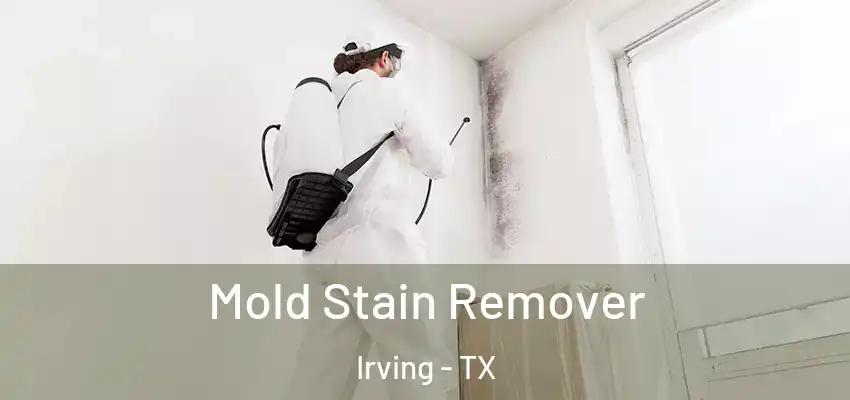  Mold Stain Remover Irving - TX