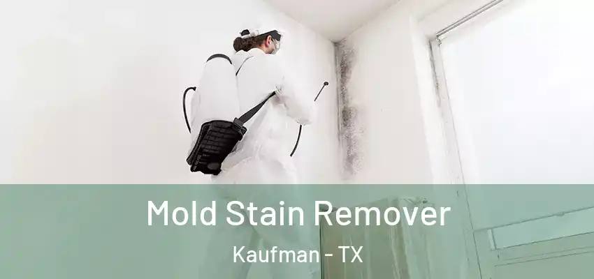 Mold Stain Remover Kaufman - TX