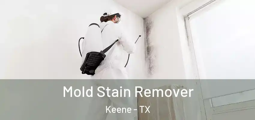  Mold Stain Remover Keene - TX