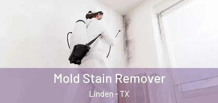 Mold Stain Remover Linden - TX