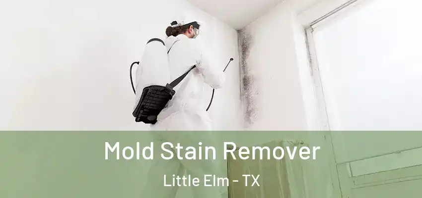  Mold Stain Remover Little Elm - TX