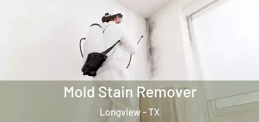  Mold Stain Remover Longview - TX