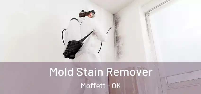  Mold Stain Remover Moffett - OK