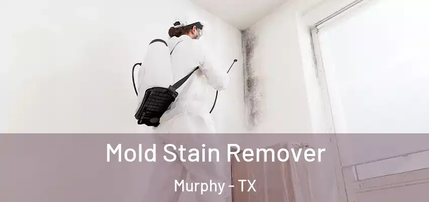 Mold Stain Remover Murphy - TX
